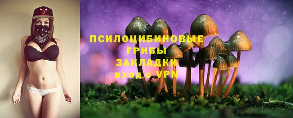 apvp Армянск