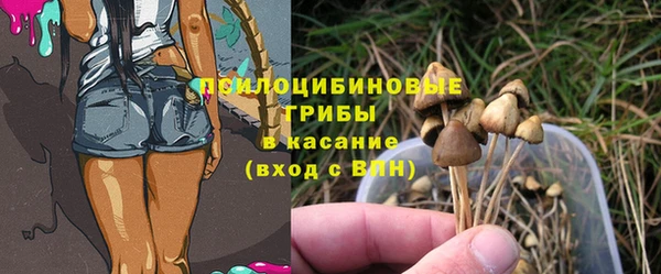 метадон Аркадак