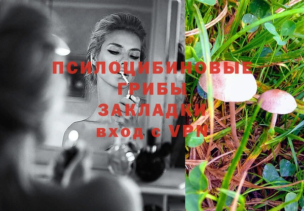 метадон Аркадак
