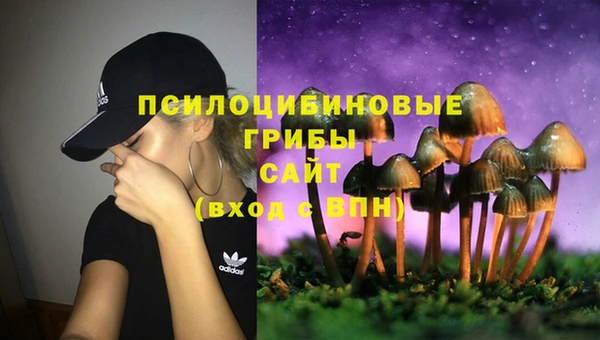 метадон Аркадак