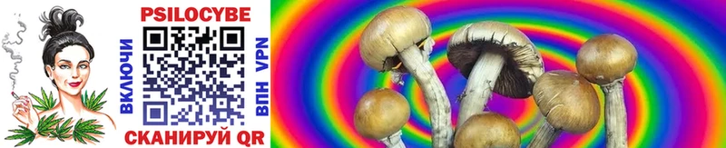 Купить  Суздаль  Псилоцибиновые грибы MAGIC MUSHROOMS 